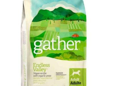 Comida para perro&nbsp;vegana